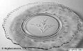 3500-0005_8half_in_salad_plate_eng722_croesus_crystal.jpg