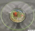 1920s-0480-half_6in_sherbet_plate_optic_d990(enamel_fox_hunt_scene)_crystal.jpg