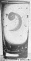 1920s-0497_08oz_tumbler_shammed_eng0760_constellation.jpg